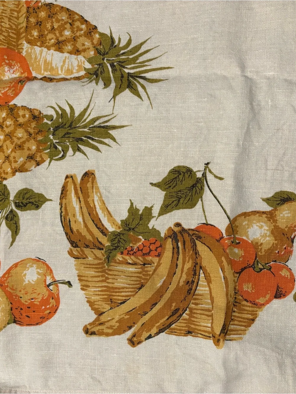 N/A classic fruit